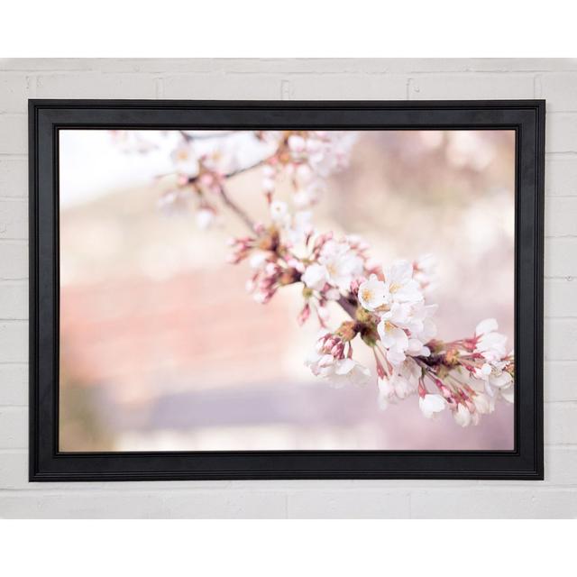 Cherry Blossoms Decending Branch Framed Print Brayden Studio Format: Black Framed Paper, Size: 84.1cm H x 118.9cm W x 3cm D on Productcaster.