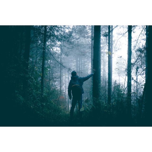 Man Travel Alone On Foggy Forest - Wrapped Canvas Print Alpen Home Size: 30cm H x 46cm W x 3.8cm D on Productcaster.