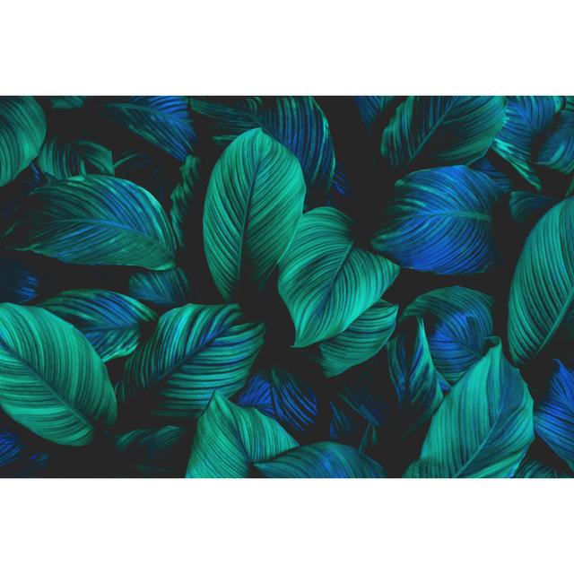 Abstract Green Leaf by Thanabodin Jittrong - Wrapped Canvas Photograph Pergo Classics Size: 81cm H x 122cm W on Productcaster.