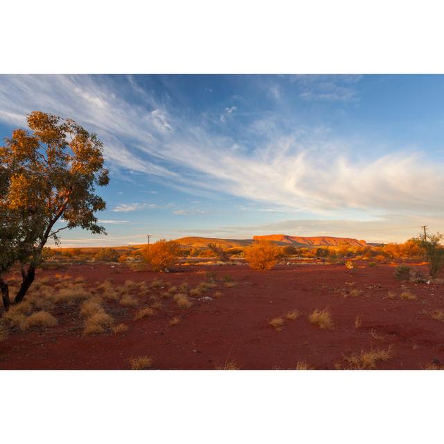 Shoreditch Outback Australia - Wrapped Canvas Print Natur Pur Size: 61cm H x 91cm W x 3.8cm D on Productcaster.