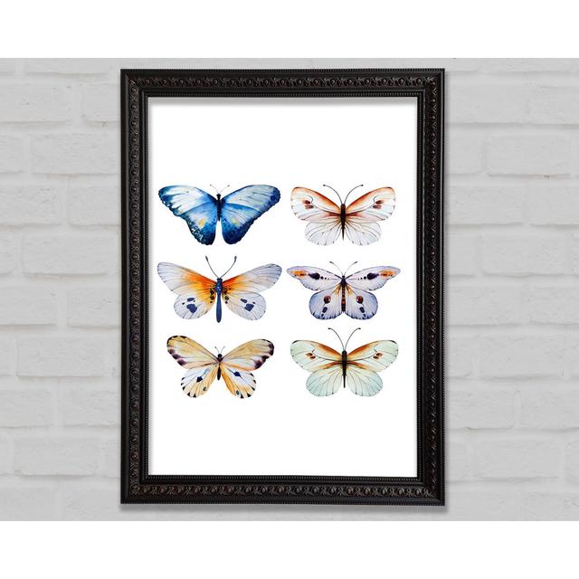 Butterfly Breeds Framed Print Bright Star Size: 59.7cm H x 84.1cm W on Productcaster.