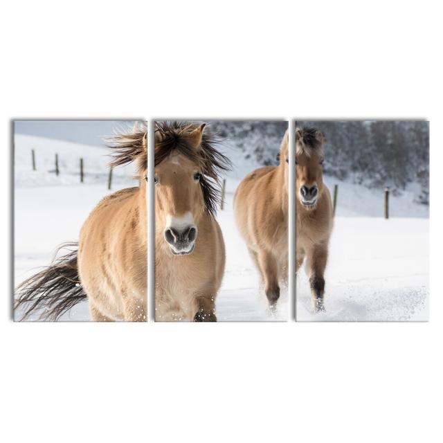 Horses In The Snow - 3 Piece Wrapped Canvas Print East Urban Home Size: 120cm H x 240cm W on Productcaster.