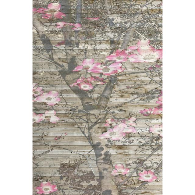 Dogwood Dance II by Jennifer Goldberger - Wrapped Canvas Print Rosalind Wheeler Size: 46cm H x 30cm W on Productcaster.