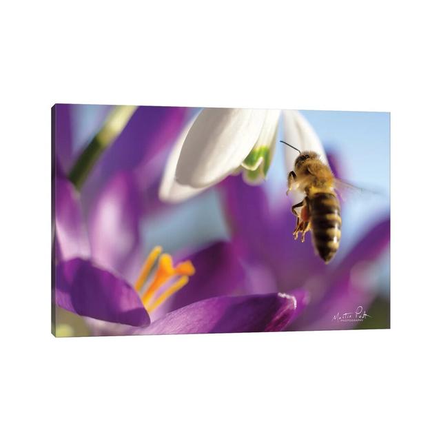 Bee I by Martin Podt - Wrapped Canvas Photograph Brambly Cottage Size: 30.48cm H x 45.72cm W x 1.9cm D on Productcaster.