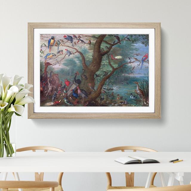 Concert of Birds by Jan Van Kessel - Picture Frame Painting East Urban Home Frame Option: Oak Framed, Size: 36cm H x 48cm W x 2cm D on Productcaster.