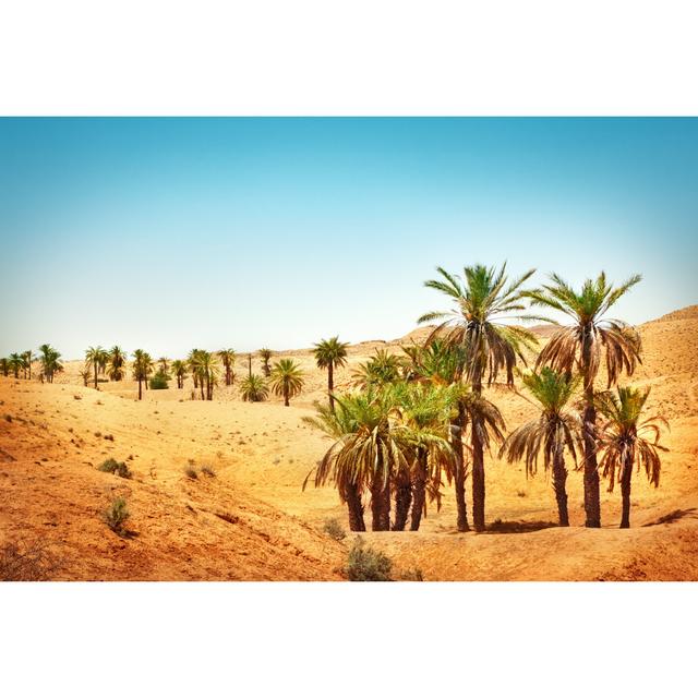 Sahara Desert by Adisa - Wrapped Canvas Print Natur Pur Size: 51cm H x 76cm W x 3.8cm D on Productcaster.