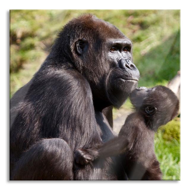 Baby Gorilla Kissing Its Mother - No Frame Print on Glass Ebern Designs Size: 60cm H x 60cm W x 0.4cm D on Productcaster.