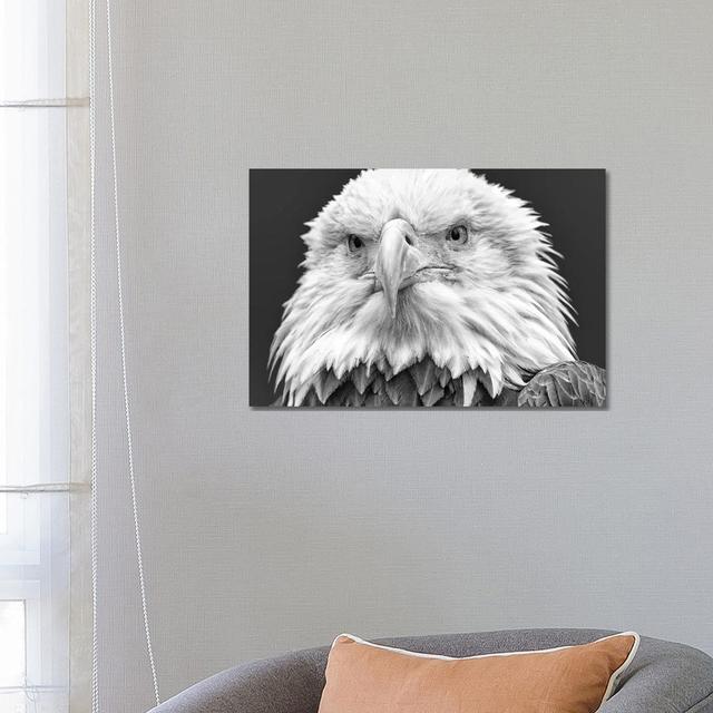 I See You! by David Gardiner - Wrapped Canvas Photograph Union Rustic Size: 45.72cm H x 66.04cm W on Productcaster.