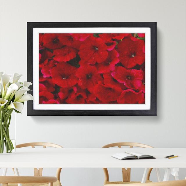 Seeing Red Flowers - Picture Frame Graphic Art East Urban Home Size: 36cm H x 48cm W x 2cm D, Frame Option: Black Framed on Productcaster.