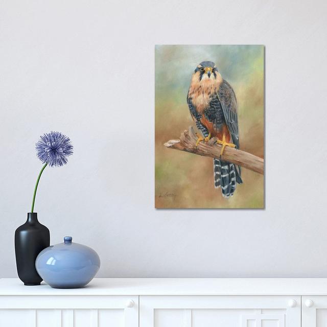 Aplomado Falcon by David Stribbling - Wrapped Canvas Print Rosalind Wheeler Size: 45.72cm H x 30.48cm W on Productcaster.