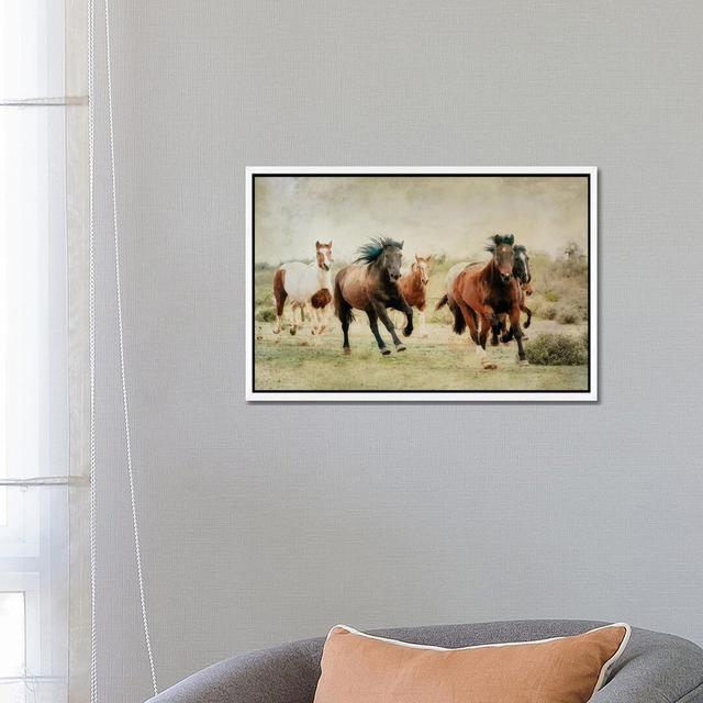 Out Of The Desert by Rhonda Thompson - Floater Frame Print on Canvas Gracie Oaks on Productcaster.