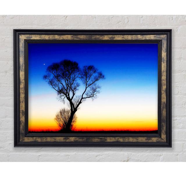 Magical Skies Framed Print Bright Star Size: 84.1cm H x 142.2cm W on Productcaster.