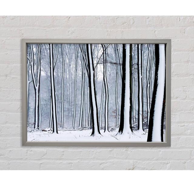 Wald Schneebäume - Einzelbildrahmen Kunstdrucke auf Leinwand Union Rustic Größe: 100,1 cm H x 141,4 cm B x 3,3 cm T on Productcaster.