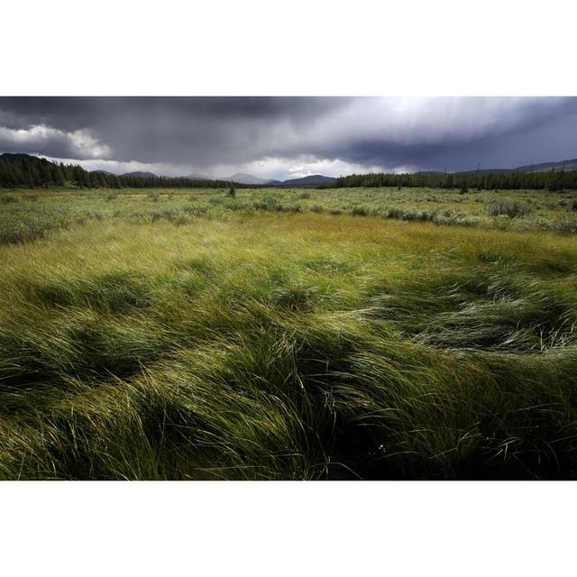 Yukon - Wrapped Canvas Photograph 17 Stories Size: 30cm H x 46cm W on Productcaster.