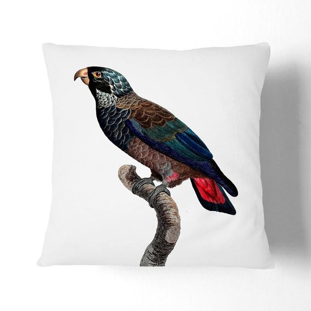 Bronze-Winged Parrot by F. Levaillant Cushion with Filling East Urban Home Size: 40cm H x 40cm W x 15cm D, Backing Colour: Black on Productcaster.