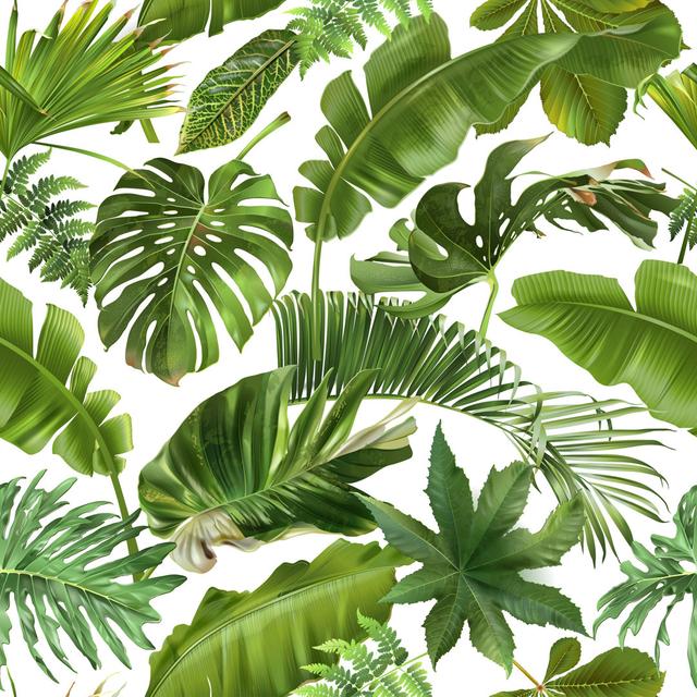 Vector Seamless Pattern with Green Tropical Leaves - Wrapped Canvas Graphic Art Bay Isle Home Size: 76cm H x 76cm W on Productcaster.