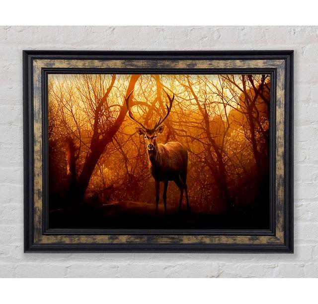 Deer In Winter - Single Picture Frame Art Prints Bright Star Size: 29.7cm H x 42cm W x 8cm D on Productcaster.