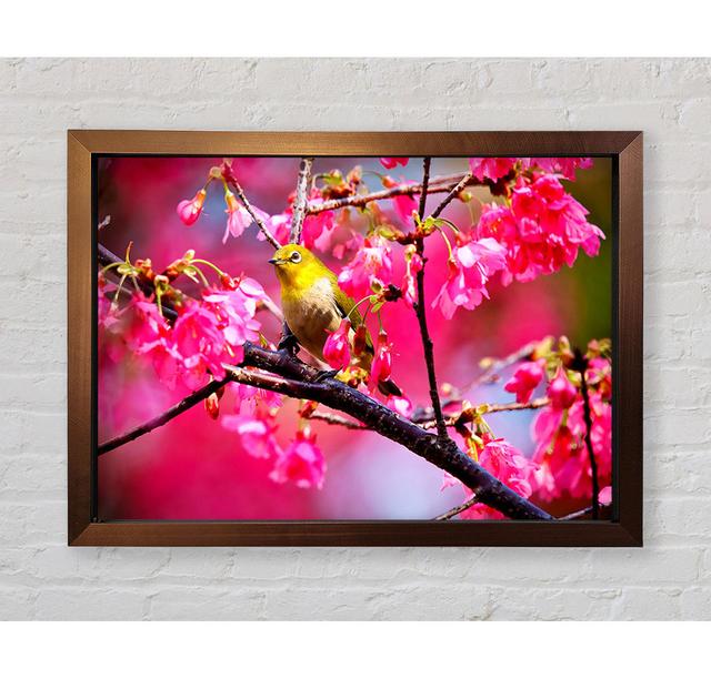 Mountain Cherry Bird - Single Picture Frame Art Prints Brayden Studio Format: Black Framed Paper, Size: 100cm H x 141.4cm W x 3.4cm D on Productcaster.