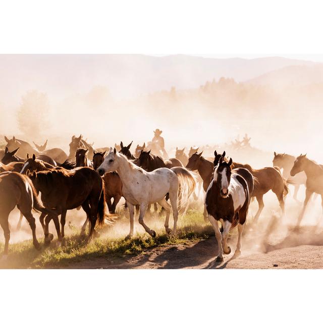 Yellowstone Wrangler by Urbancow - No Frame Art Prints on Canvas 17 Stories Size: 30cm H x 46cm W on Productcaster.