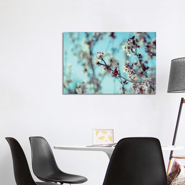 Blooming Tree by Nik Rave - Wrapped Canvas Photograph Latitude Run Size: 66.04cm H x 101.6cm W x 3.81cm D on Productcaster.