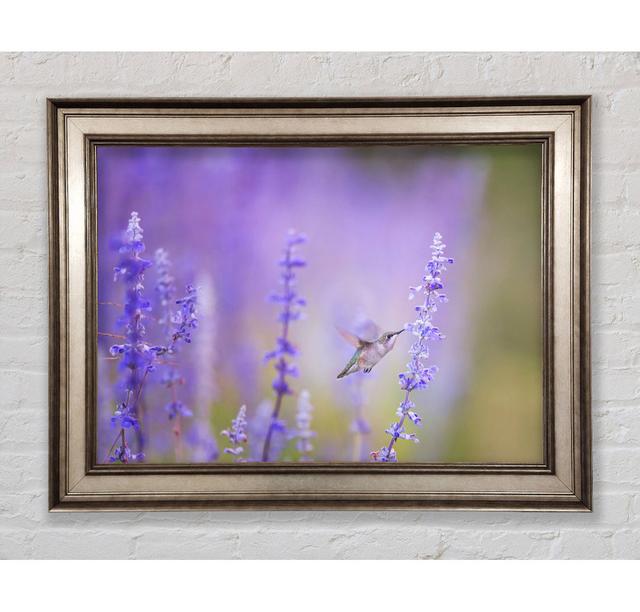 Single Picture Frame Art Prints Bright Star Size: 42cm H x 59.7cm W on Productcaster.