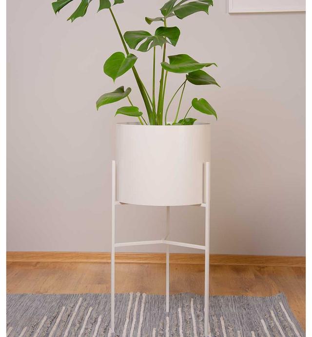 Crishon Round Pedestal Plant Stand Ebern Designs Colour: White on Productcaster.