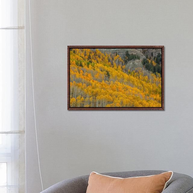 Autumn Canyon von Bill Sherrell - Galerie-umwickelte Leinwand Giclée auf Leinwand Lark Manor Format: Klassischer Schattenfugenrahmen aus Holz on Productcaster.