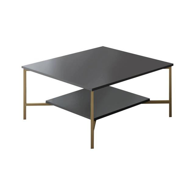 Coffee table Dichiar, Low coffee table, Magazine rack for sofa, 80x80h40 cm, Fairmont Park Colour: Anthracite/Gold on Productcaster.