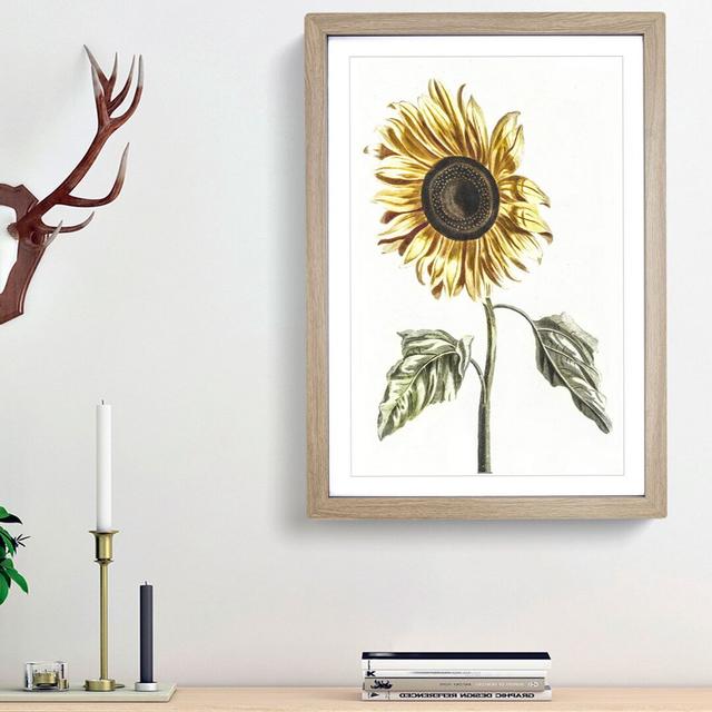 A Sunflower by Johan Teyler - Picture Frame Painting Print on Paper East Urban Home Frame Option: Oak Framed, Size: 63cm H x 45cm W x 2cm D on Productcaster.