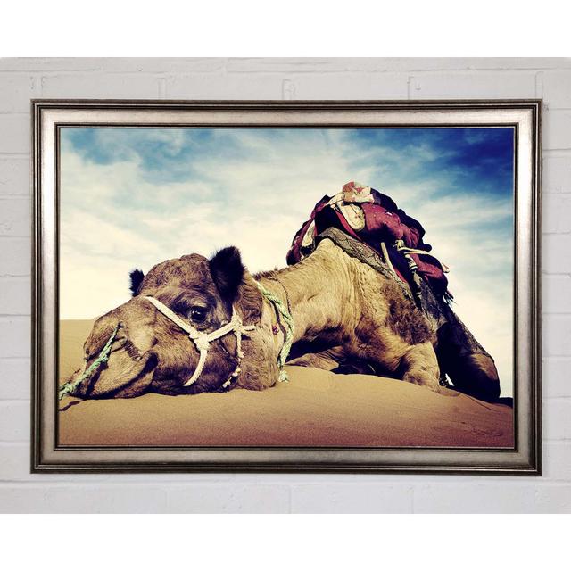 Camel Rest - Print Gracie Oaks Size: 59.7cm H x 84.1cm W x 1.5cm D, Format: Natural Framed Paper on Productcaster.