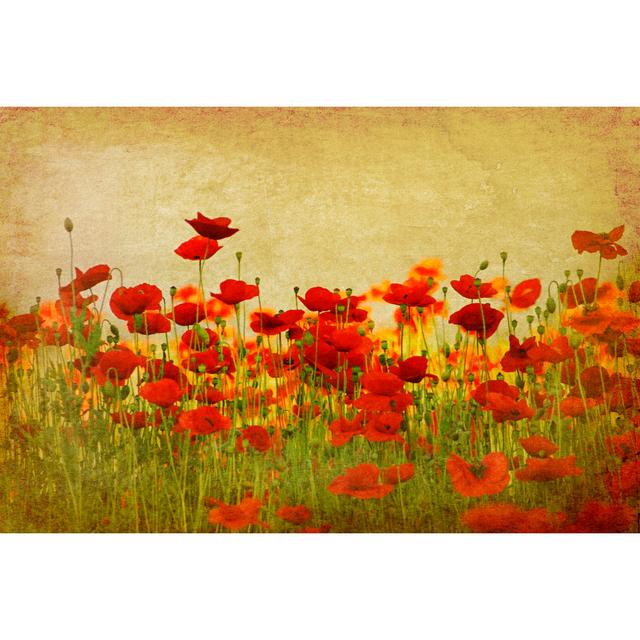 Poppy Field by Ottokrause - Wrapped Canvas Photograph ClassicLiving Size: 20cm H x 30cm W on Productcaster.