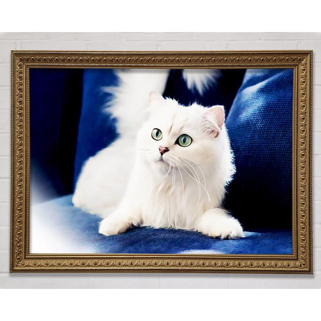 Fluffy Gold Kitten - Single Picture Frame Art Prints Brayden Studio Size: 59.7cm H x 84.1cm W on Productcaster.