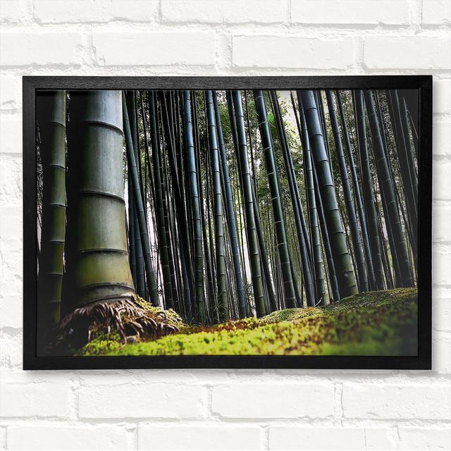 Huge Bamboo Forest - Closed Corner Frame Art Prints on Wood Latitude Run Size: 21cm H x 29.7cm W on Productcaster.