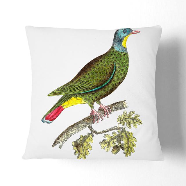 Black-Capped Pigeon by George Shaw Cushion with Filling East Urban Home Size: 55cm H x 55cm W x 20cm D, Backing Colour: Stone on Productcaster.