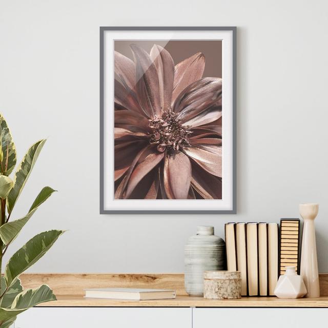 Copper Golden Dahlia Dream - Picture Frame Graphic Art Ebern Designs Frame Option: Grey Framed, Size: 40cm H x 30cm W x 2cm D on Productcaster.