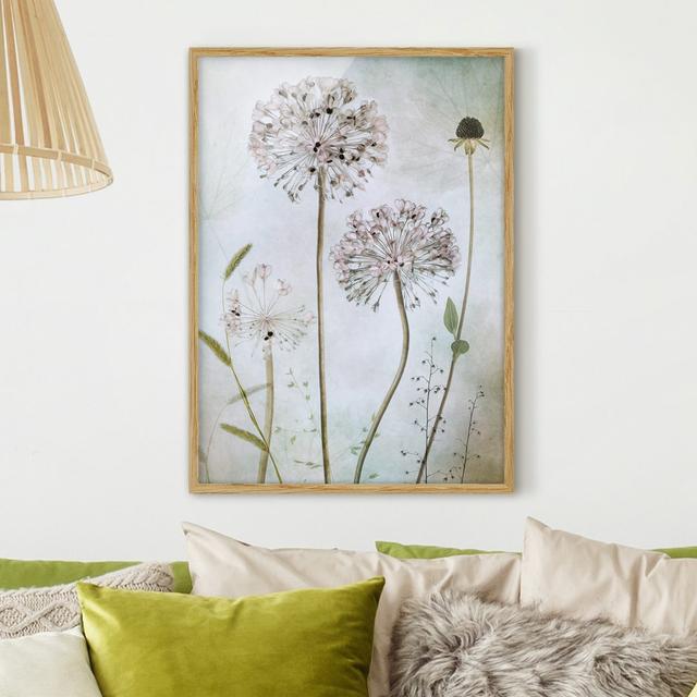 Leek Flowers in Pastel - Picture Frame Graphic Art Rosalind Wheeler Size: 55cm H x 40cm W x 2cm D, Frame Option: Brown Framed on Productcaster.