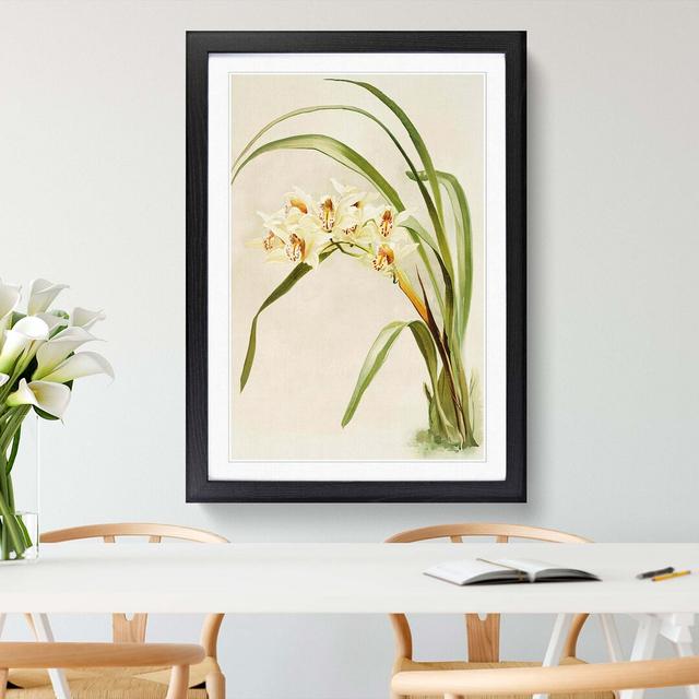 Magnolia Flowers Illustration Tab. 75 by Frederick Sander - Picture Frame Painting Print East Urban Home Frame Option: Black, Size: 50cm H x 35cm W x on Productcaster.