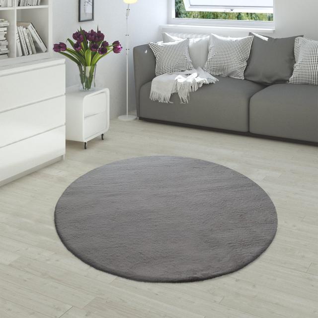 Teppich Abasi-Ima in Anthrazit Canora Grey Teppichgröße: Rechteckig 100 x 200 cm on Productcaster.