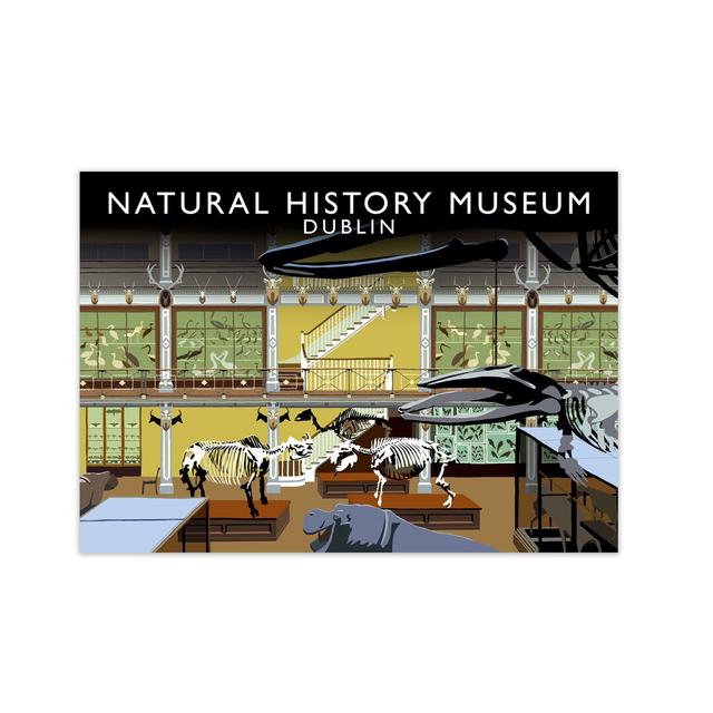 'National History Museum Dublin' by Richard O'Neill Picture Frame Graphic Art Print on Paper 17 Stories Size: 59.4 cm H x 81.4 cm W on Productcaster.