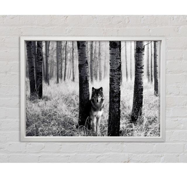 Forest Wolf - Print Bright Star Size: 100cm H x 141.4cm W x 3.3cm D on Productcaster.