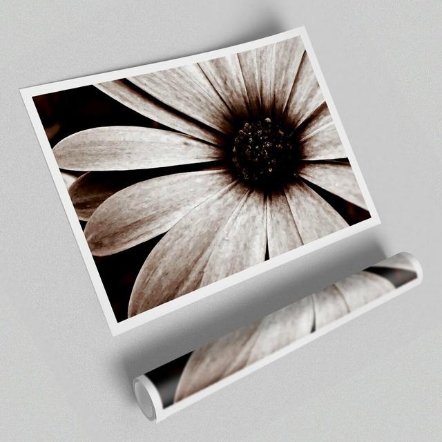 Cocoa Daisy Petals Flowers Canvas Print Wall Art East Urban Home Format: Acrylic, Size: 59.7cm H x 84.1cm W x 1cm D on Productcaster.