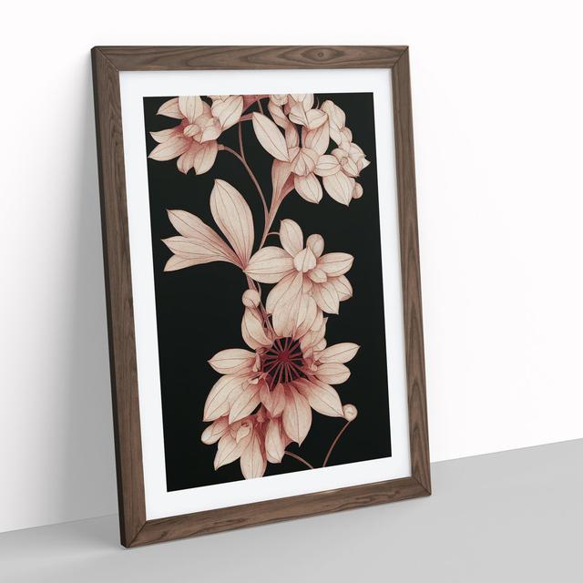 The Intriguing Flowers - Picture Frame Graphic Art Marlow Home Co. Size: 46cm H x 34cm W x 2cm D, Frame Colour: Walnut Framed on Productcaster.