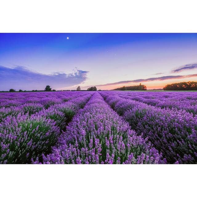 Sunrise and Dramatic Clouds over Lavender Field - Wrapped Canvas Photograph Ebern Designs Size: 30cm H x 46cm W on Productcaster.