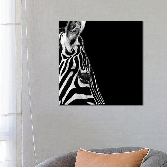 Zebra In Black And White III by Lukas Holas - Wrapped Canvas Print Latitude Run Size: 66.04cm H x 66.04cm W x 1.905cm D on Productcaster.