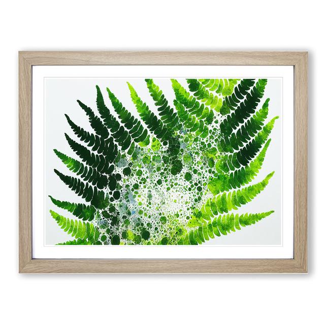 Fern Leaf Splash Vol.2 - Picture Frame Graphic Art Bay Isle Home Frame Colour: Oak, Size: 25cm H x 34cm W x 2cm D on Productcaster.