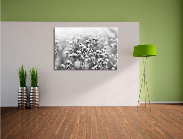 Leinwandbild Romantische Blumenwiese in Monochrom East Urban Home Größe: 80 cm H x 120 cm B on Productcaster.