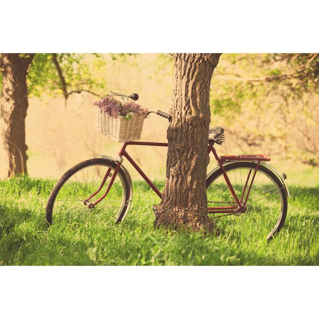 Vintage Bicycle by Massonstock - Wrapped Canvas Print 17 Stories Size: 30cm H x 46cm W on Productcaster.