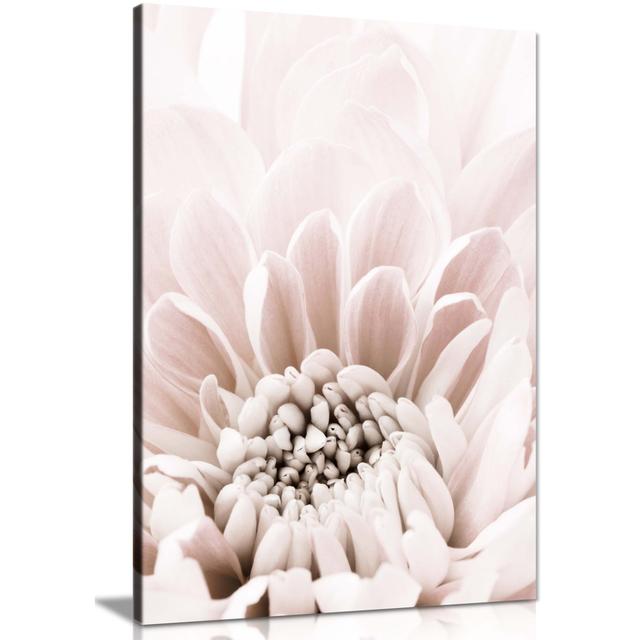 Pastel Pink Chrysanthemum Close up - Wrapped Canvas Graphic Art Panther Print Size: 76cm H x 51cm W x 1.8cm D on Productcaster.