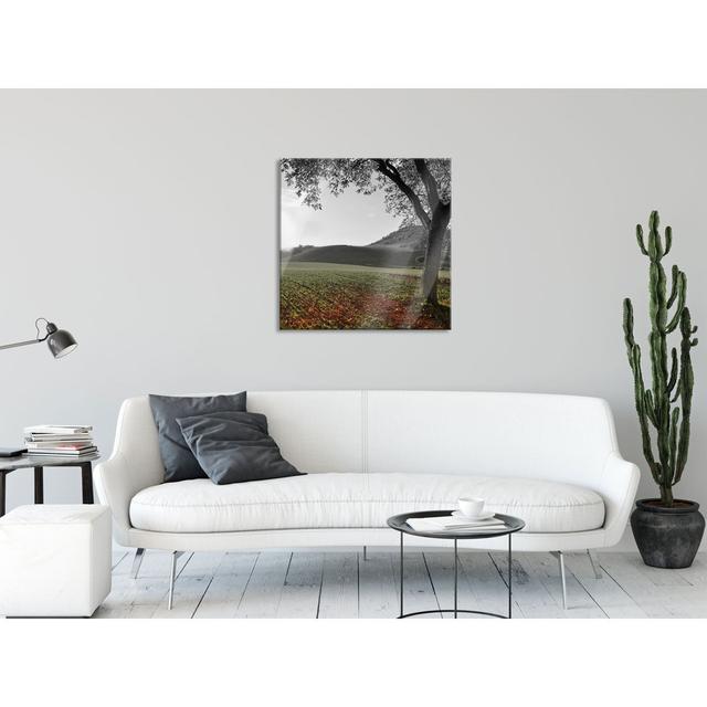 Autumn Landscape - Unframed Photograph on Glass Union Rustic Size: 70cm H x 70cm W x 0.4cm D on Productcaster.