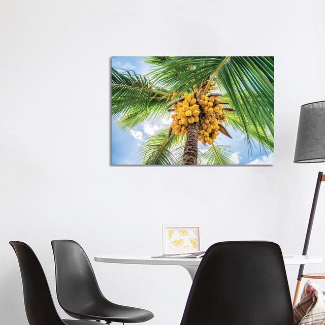 Close Up Of A Coconut Tree by Jan Becke - Wrapped Canvas Gallery-Wrapped Canvas Giclée 17 Stories Size: 66.04cm H x 101.6cm W on Productcaster.